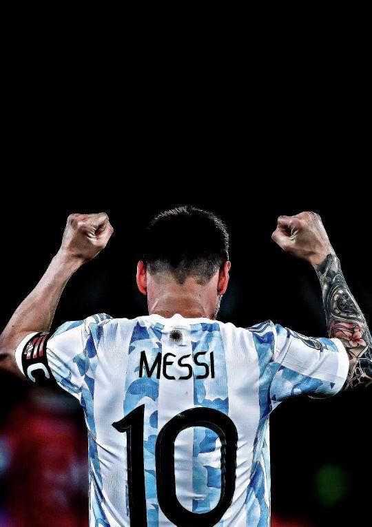 能涉及的名 能涉及的名