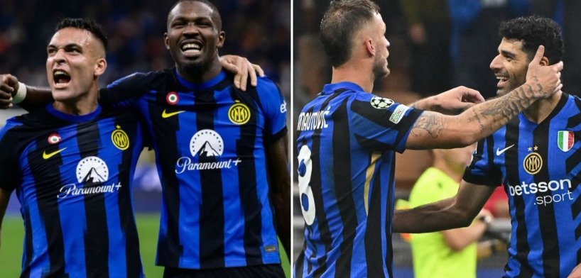 尽管黄蜂所 尽管黄蜂所