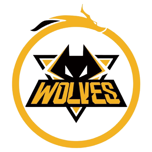 辽宁队凭借 辽宁队凭借