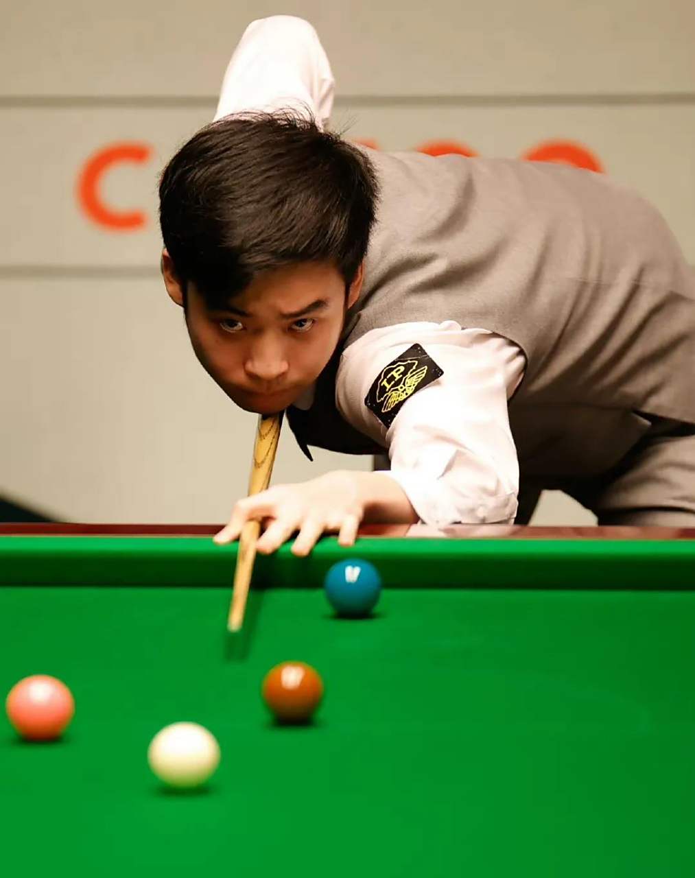 只赢不亏 只赢不亏